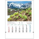 日本の山野草 2026 Calendar 壁掛けカレンダー2026年 フォト トーダン 写真 花 インテリア 令和8年暦 シネマコレクション