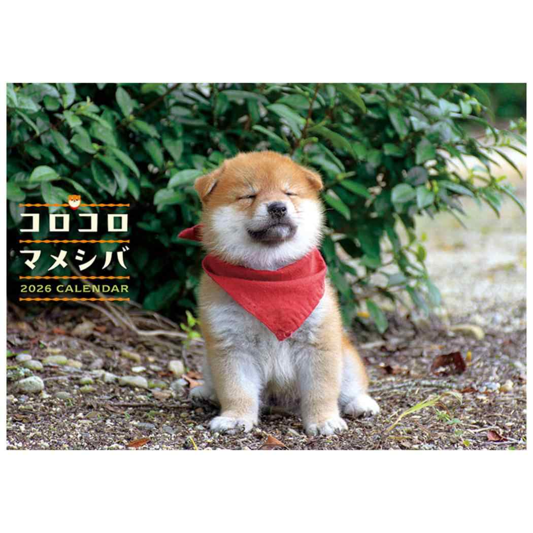 【12月は毎日ポイント10倍！】コロコロマメシバ 2026 Calendar 壁掛けカレンダー202 ...