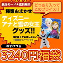 暴走モード アナと雪の女王福袋 おまけつき 今だけ【送料無料】中身おまかせ 大人気ディズニープリンセスのキャラクターグッズがもりもり入って3240円 全品ポイント10倍【お買い物マラソン】11/9深夜2時まで