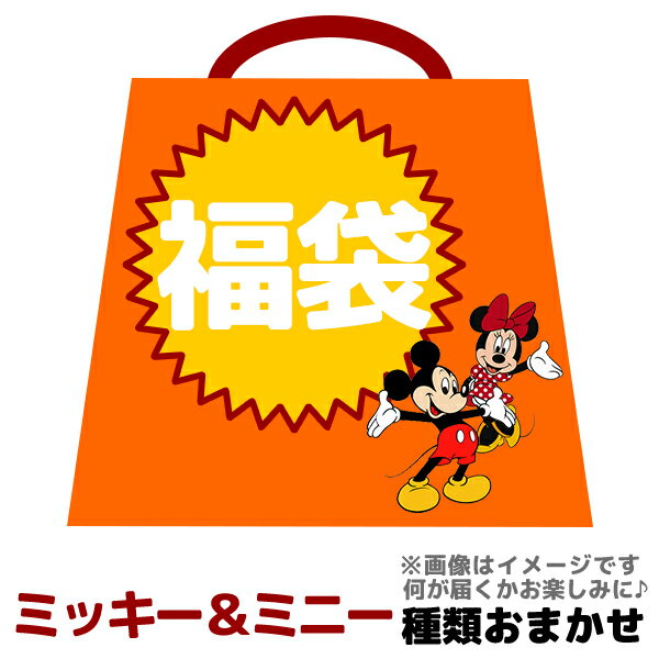 暴走モード ディズニー ミッキー＆ミニー グッズ 福袋 中身おまかせ 何が届くかお楽しみ キャラクターグッズがもりもり 【全品ポイント10倍】 1/28まで