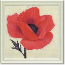 フラワー アート 絵画 額縁つき Art Frames ジュービラントポピー アイボ IVO 花 額付 ポスター インテリア グッズ 通販 取寄品 シネマコレク...