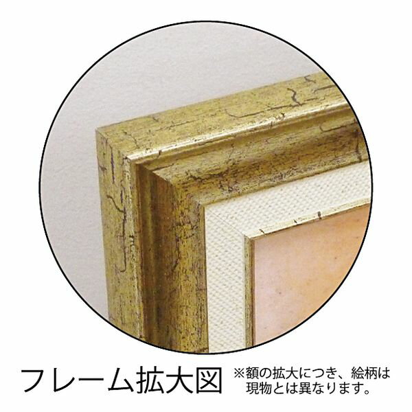 ダンフイ ナイ フラワー アート Art Frames デイジーフォール2 花 額付きポスター インテリア グッズ 通販 取寄品 シネマコレクション 2