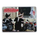 なめんなよ ステッカー ビニールステッカー 集合 なめ猫 ゼネラルステッカー DECOシール かわいい キャラクター グッズ 通販 メール便可 シネマコレクショ...