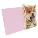 いぬねこ グリーティングカード 顔がゆらゆら揺れる多目的カード 柴犬 いぬ アクティブコーポレーション お祝い 封筒付き かわいい グッズ 通販 メール便可 シ...