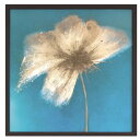 インテリアアート 500 フラワー アート Emma Forrester Floral Burst 2 美工社 額装品 ギフト 装飾インテリア通販 取寄品 シネ...
