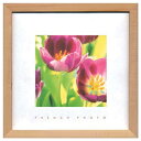 フレンチフォトグラフィー 写真 アート French Photography Tulips 美工社 ZFP-51895 額付きインテリア通販 取寄品 シネマコレクション