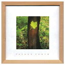 フレンチフォトグラフィー 写真 アート French Photography Maple leaf 美工社 ZFP-51914 額付きインテリア通販 取寄品 シネマコレクション