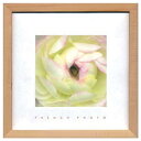 フレンチフォトグラフィー 写真 アート French Photography Ranunculus 美工社 ZFP-51917 額付きインテリア通販 取寄品 シネマコレクション