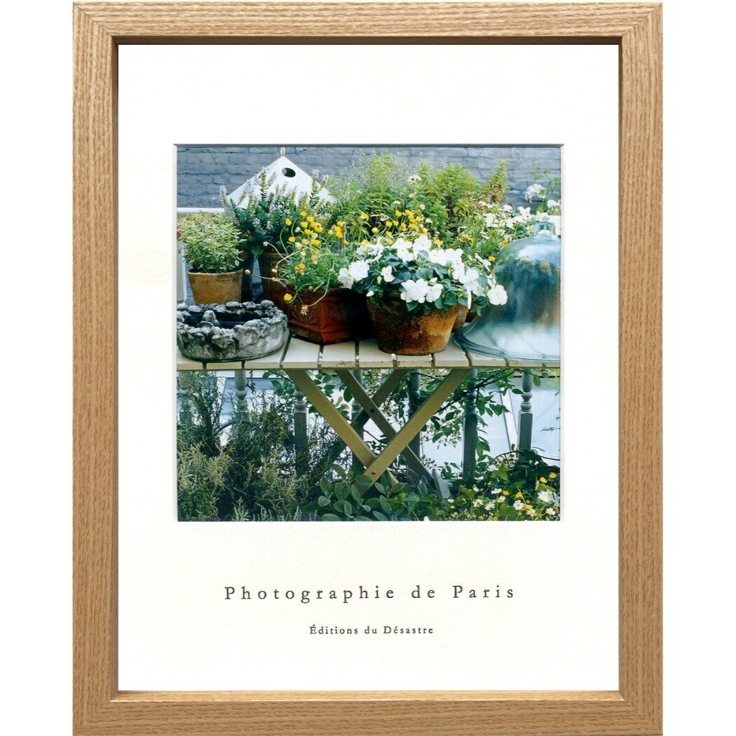 եեȥե ̿  Photographie de Paris Flower pots  ZFP-52760 դƥꥢ  ͥޥ쥯