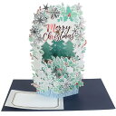 カード ポップアップカード スノーフレーク APJ 封筒付きグリーティングカード Xmas雑貨 グッズ メール便可 シネマコレクション プレゼント 男の子 女の...