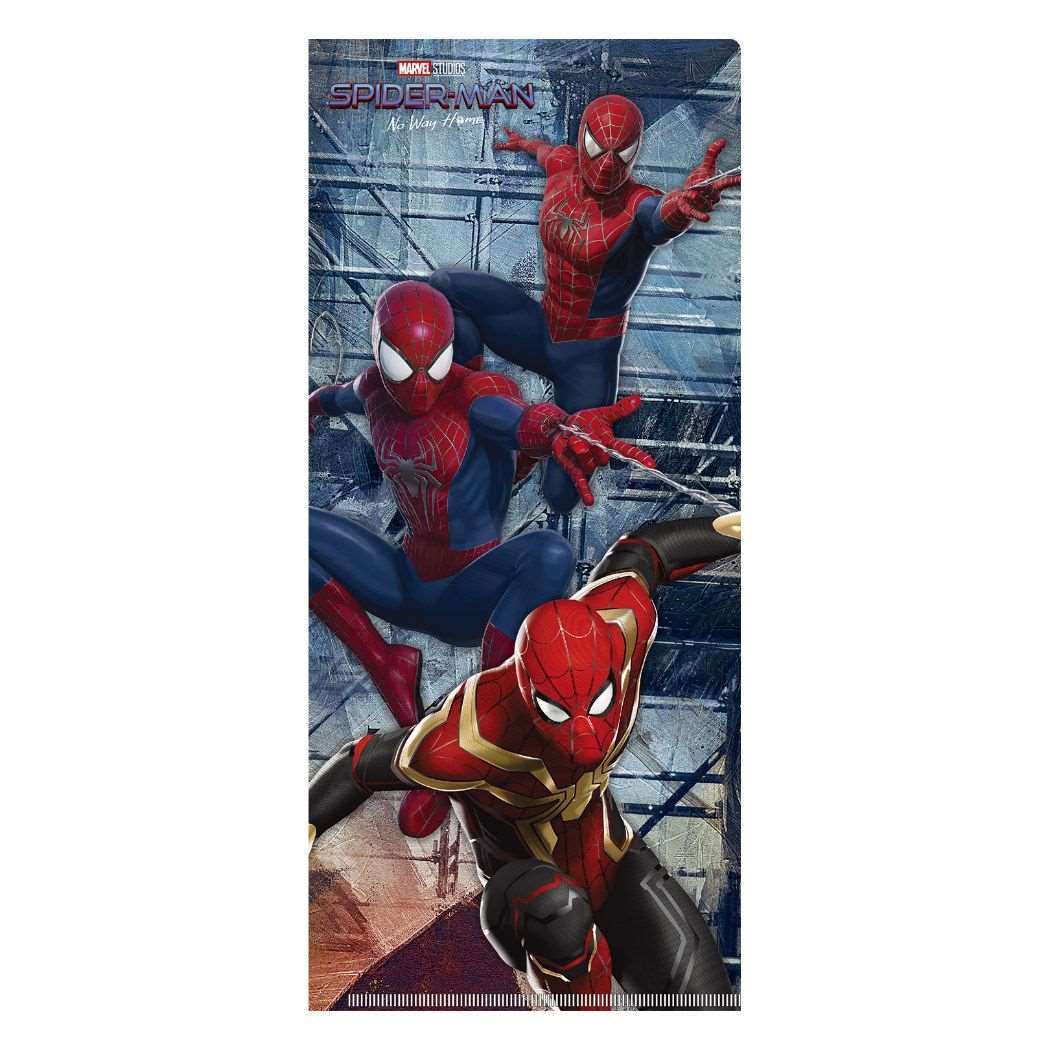 スパイダーマン ノーウェイ ホーム ミニクリアファイル チケ