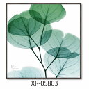 アルバートクーツィール フラワーアート X RAYキャンバスアート ユーカリメイト スクエアS ユーパワー XR-05803 額付き インテリア 取寄品 シネマコレクション