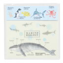 STUDY HOLIC 付箋 クリアカバーふせん 海洋生物学 Green Flash 新学期準備文具 事務用品 グッズ メール便可 シネマコレクション プレゼン...