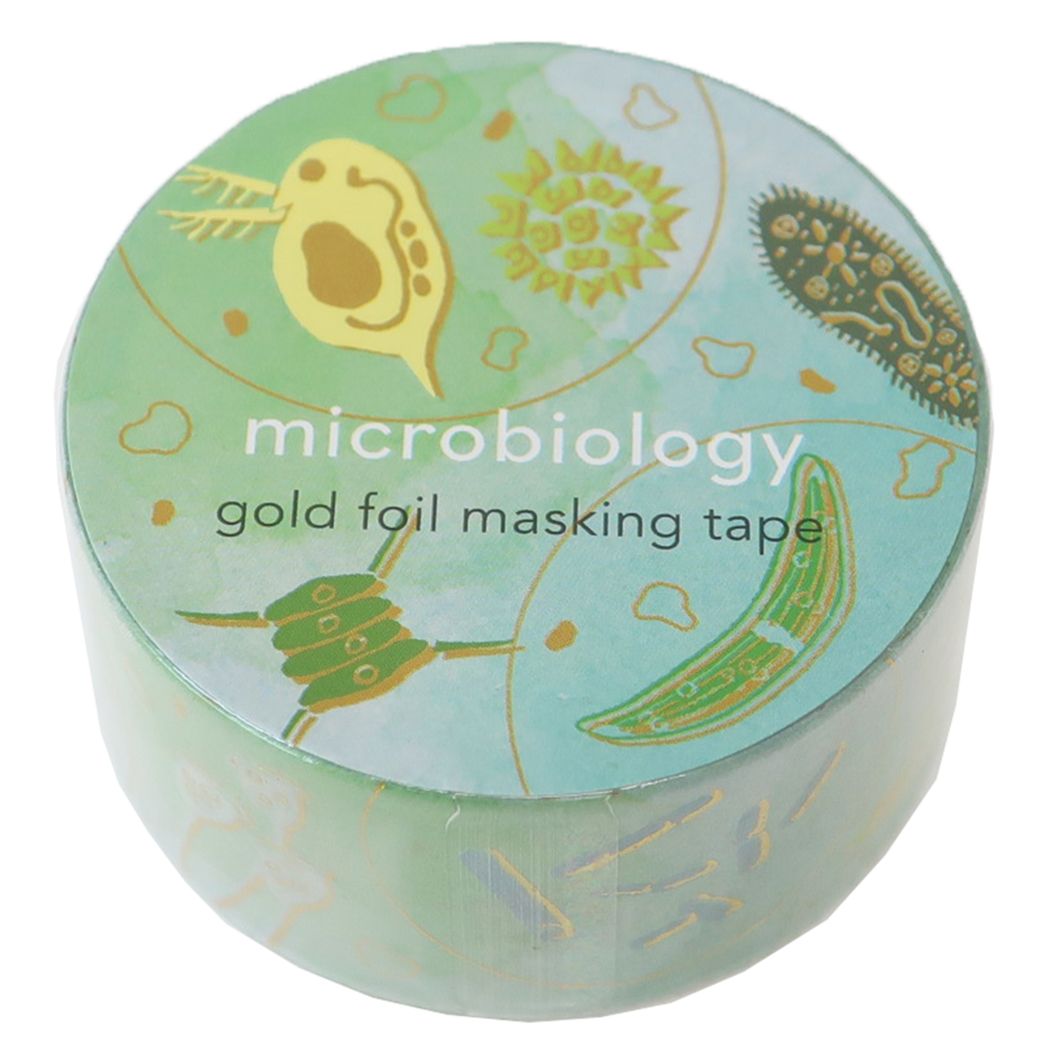 【12月は毎日ポイント10倍!】STUDY HOLIC マスキングテープ 20mm金箔マステ 微生物学 Green Flash デコレーション DECOテープ ...
