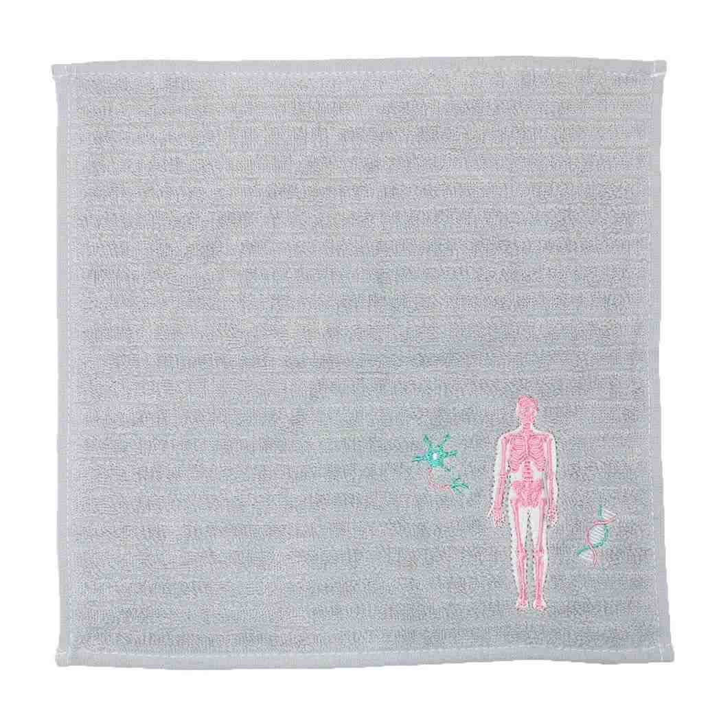 STUDY HOLIC ミニタオル タオルハンカチ 人類生物学 Green Flash 汗拭きタオル おもしろ雑貨 グッズ メール便可 シネマコレクションのサムネイル