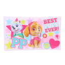 パウパトロール マスクケース クリアマスクケース PK マリモクラフト マスクポーチ マルチケース ペンケース アニメキャラクター グッズ メール便可 シネマコ...