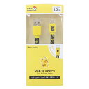 ポケットモンスター 充電ケーブル USB Type-C ケーブル1.2m ピカチュウ ポケモン グルマンディーズ 同期&充電対応 キャラクター グッズ メール便...