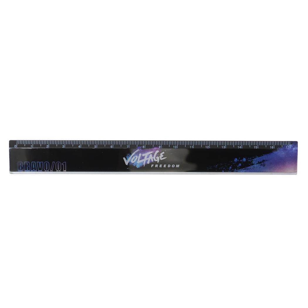 VOLTAGE FREEDOM Τ 17cm구  ߥѥ شʸ ܡơʥ꡼ ˤλ ...