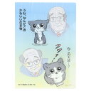 ねこに転生したおじさん A4クリアファイル クリアファイル A4 お風呂 新入学 サンスター文具 書類整理 学校 かわいい キャラクター グッズ シネマコレクシ...