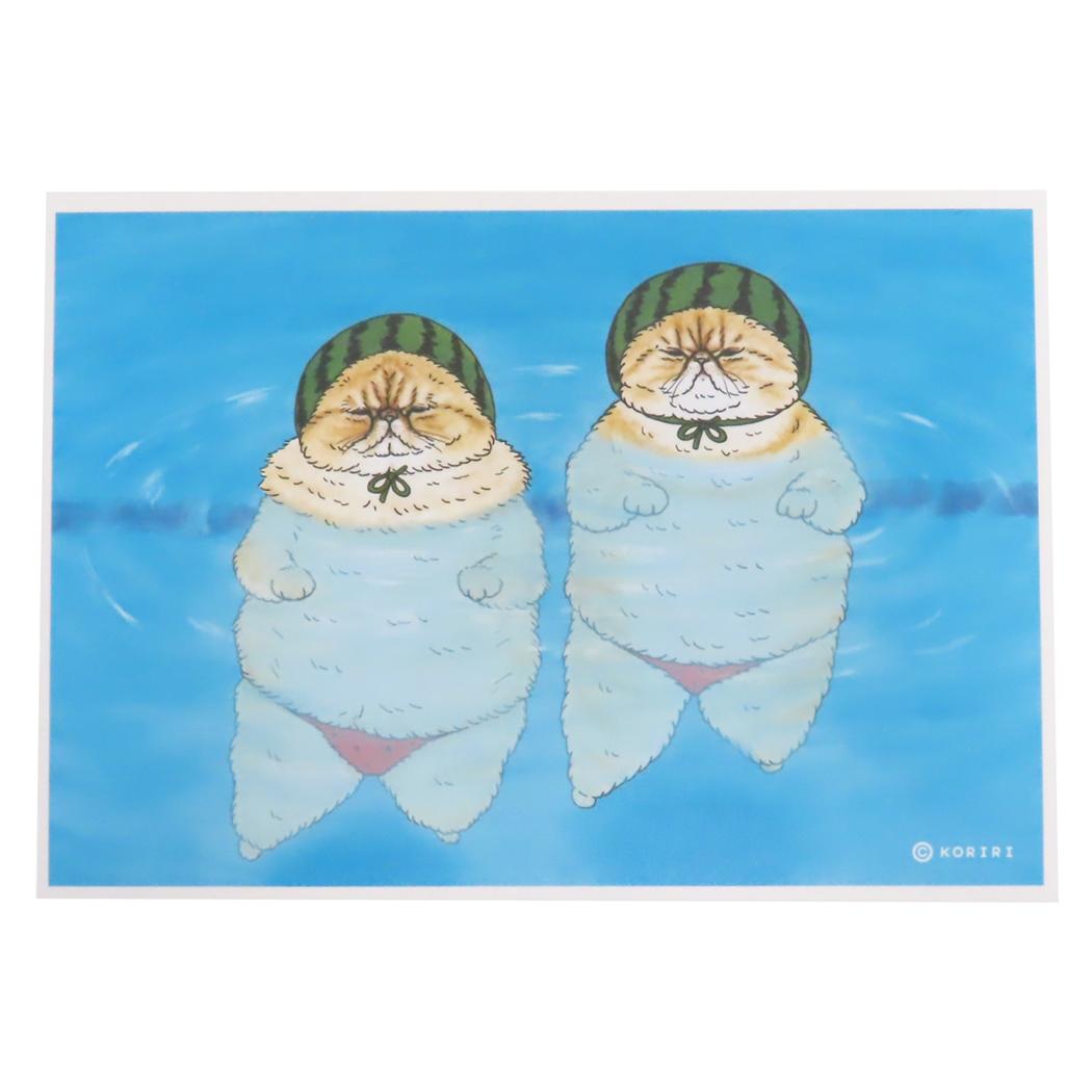 【12月は毎日ポイント10倍!】世にも不思議な猫世界 コレクター雑貨 L判絹目生写真 シンクロニャイズドスイミング ゼネラルステッカー コレクション雑貨 キャラ...