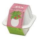 栽培キット エッグリング エコ ワイルドストロベリー 聖新陶芸 栽培セット ハーブ 屋内 家庭菜園 プレゼント シネマコレクション
