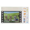 こまねこ ステッカー 映画風フィルムステッカー ともだち ゼネラルステッカー 耐水耐光 デコステッカー キャラクター グッズ メール便可 シネマコレクション