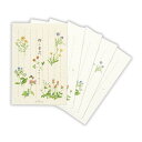ポストカード ハガキ箋 野の草花2 日本ホールマーク はがき 葉書 メッセージカード グッズ メール便可 シネマコレクション