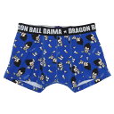 ドラゴンボールDAIMA 男性用下着 ボクサーブリーフ ベジータ ミニ 総柄 スモールプラネット ギフト雑貨 メンズインナー アニメキャラクター グッズ メール...