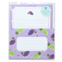 colorfruits 手紙セット レターセット grape Green Flash 便箋&封筒 かわいい グッズ メール便可 シネマコレクション