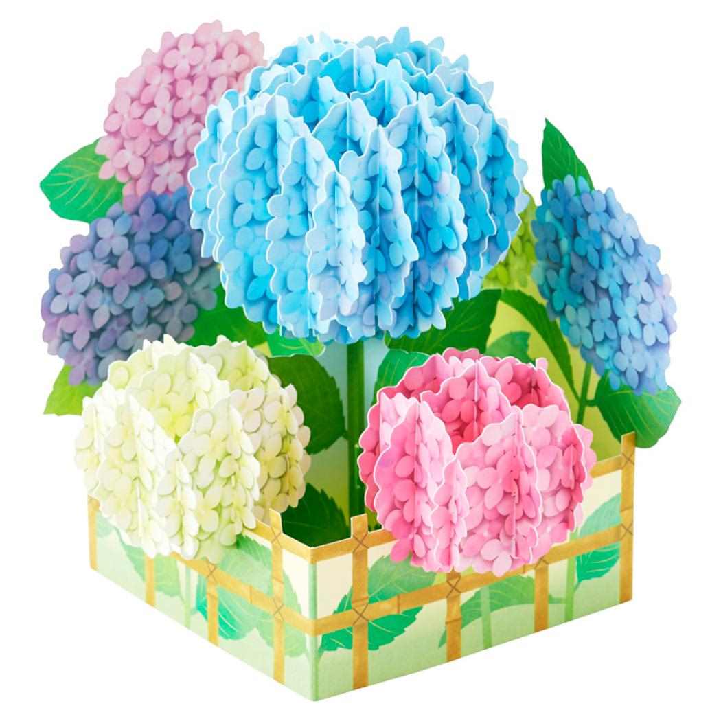 12ݥ10ܡۥ꡼ƥ󥰥 襫 JES 13-5 ΩΥ  ˥ ꥪ ¿Ū å դ ...