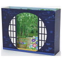 【12月は毎日ポイント10倍!】グリーティングカード シヨチユウJSP 85-5 サマー 丸窓夏の日本庭園 サンリオ 暑中お見舞い メッセージカード グッズ メ...