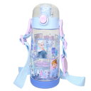 アナと雪の女王 水筒 ワンプッシュダイレクトボトル 480ml ディズニー スケーター 直飲み キッズ キャラクター グッズ シネマコレクション