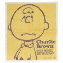 スヌーピー ふきん かや生地ふきん CHARLIE BROWN YE ピーナッツ 大西賢製販 キッチン用品 布巾 キャラクター グッズ メール便可 シネマコレクション