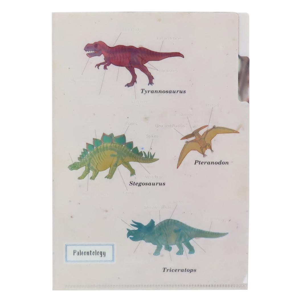 STUDY HOLIC ポケットファイル A5ポケットクリアファイル 古生物学 Green Flash 新学期準備文具 学び ..