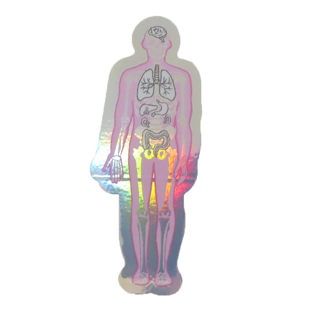 STUDY HOLIC ダイカットシール オーロラステッカー 人類生物学 人体 Green Flash デコシール 耐水耐光 ..