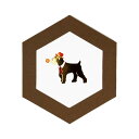 ROKKAKU CARD グリーティングカード メッセージカード DOG'S Party シュナウザー いぬ フタバ イヌ 箔押し カード&封筒 グッズ メール...