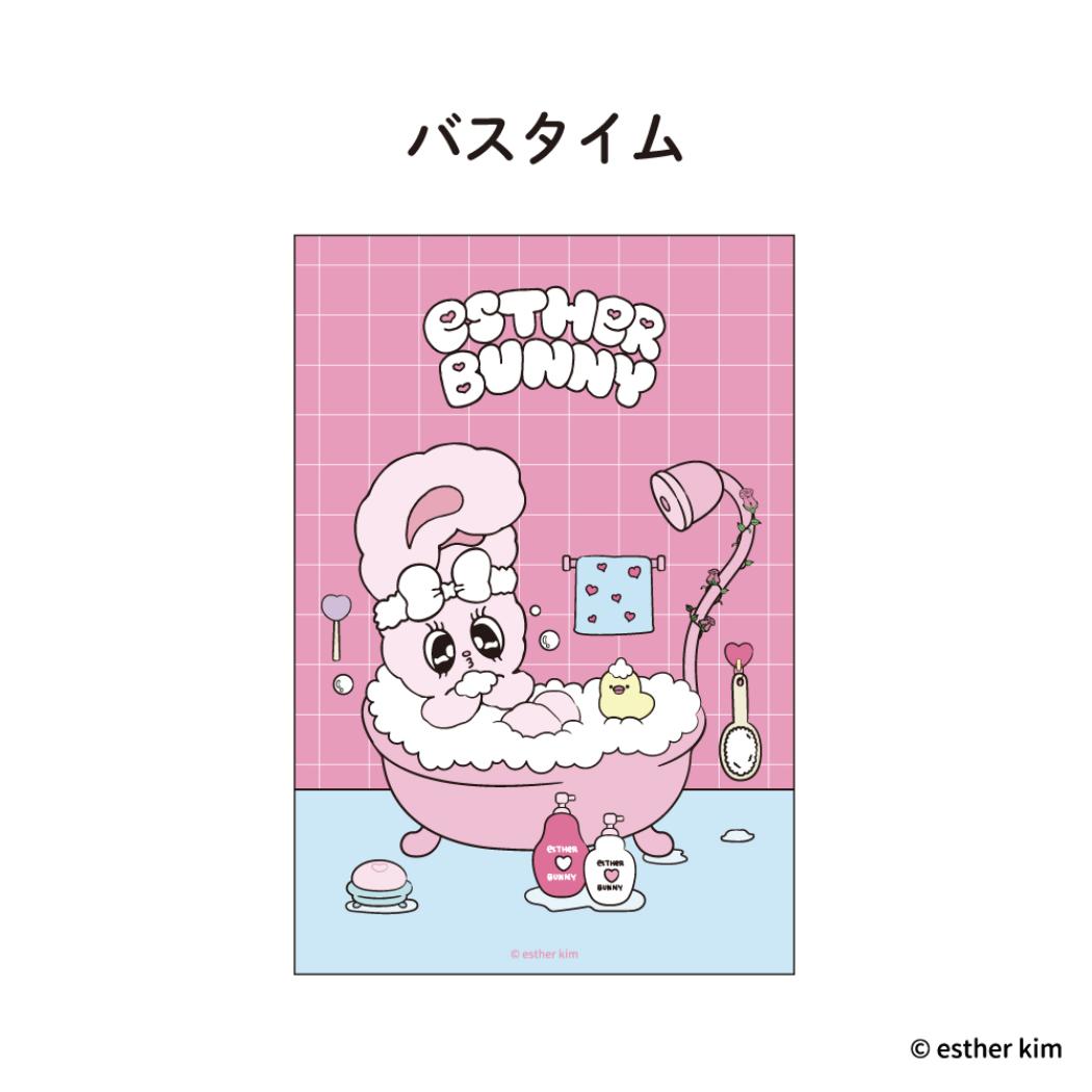 12ݥ10ܡۥХˡ ݥȥ ꥢ Х ե ץ쥼 饯 å ᡼ز ͥޥ쥯