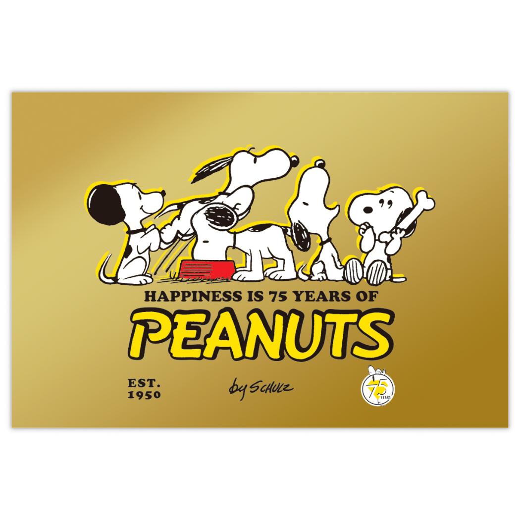 【12月は毎日ポイント10倍!】スヌーピー グリーティングカード ポストカードカード 1枚入り SN箔 75thポーズ ピーナッツ 日本ホールマーク はがき キ...