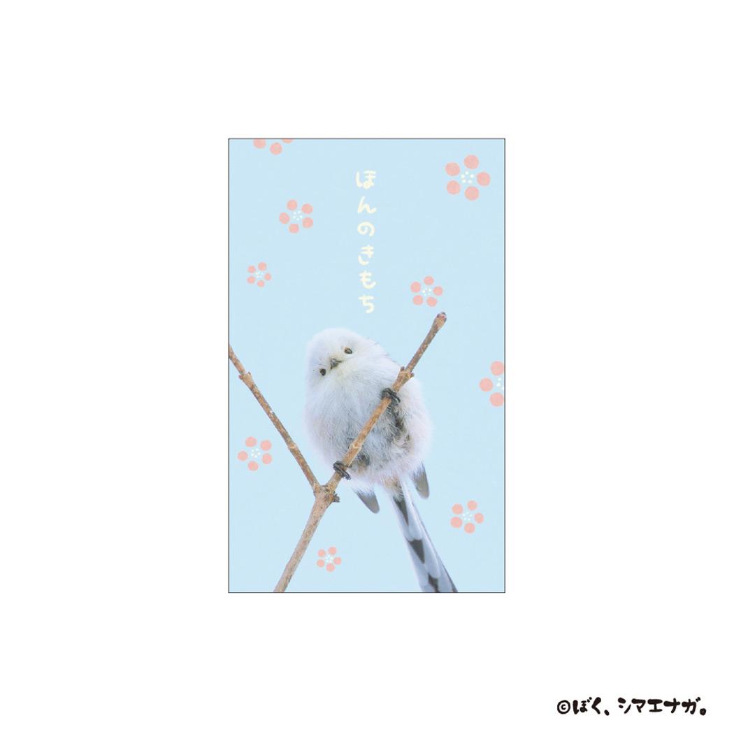 ぼく、シマエナガ ポチ袋 ぽち袋小 3枚入り ほんのきもち A フタバ お年玉袋 金封 グッズ メール便可 ..