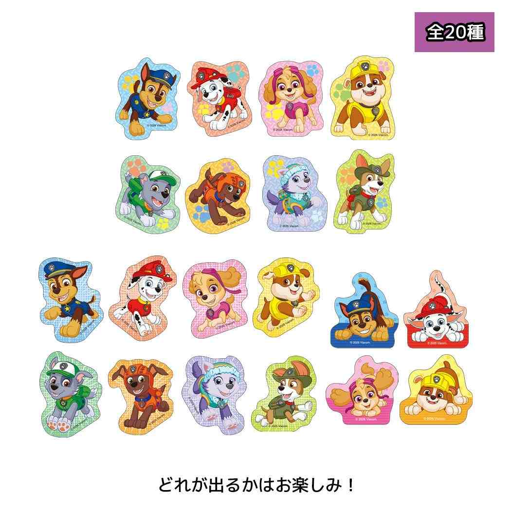 【最大1000円OFFクーポン！】パウパトロール シール ダイカットステッカー ランダム販売 全20種 単品 どれか一つ / BOX 20個セット エンスカイ【メール便可】