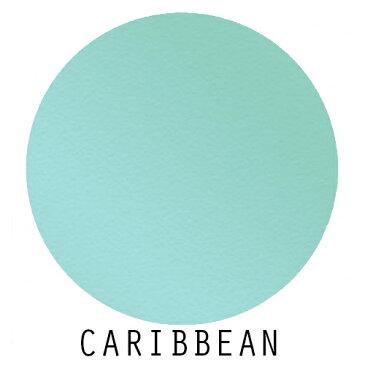 ハリウッドライツ(ラメ入りパウダー) Caribbean HL011 | アイシャドー,チーク,アートメイク,フェイスペイント