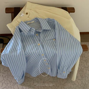 【SALE￥6,980→￥4,980】長袖ストライプブラウス　スカイブルー 【melly】(lux-ko)(221208(221223))シナモンガール Cinnamon Girl 超ミニ マイクロミニ 韓国 胸元 セクシー cinnamongirl　ブラウス 長袖ブラウス ストライプ カジュアル シンプル