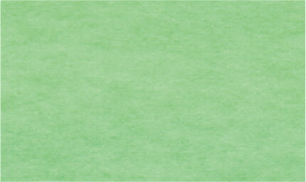 ワックスペーパー （ミントグリーン） 約500mm×750mm／20枚入り 薄葉紙 おしゃれ 包装紙 インナーラップ フラワーラッピング ギフト包装 衝材 ラッピング用品 薄紙 蝋紙 花資材 ロー引き