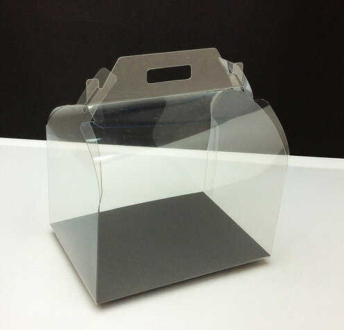 【 プチ クリアケース PT-05 10枚入り】