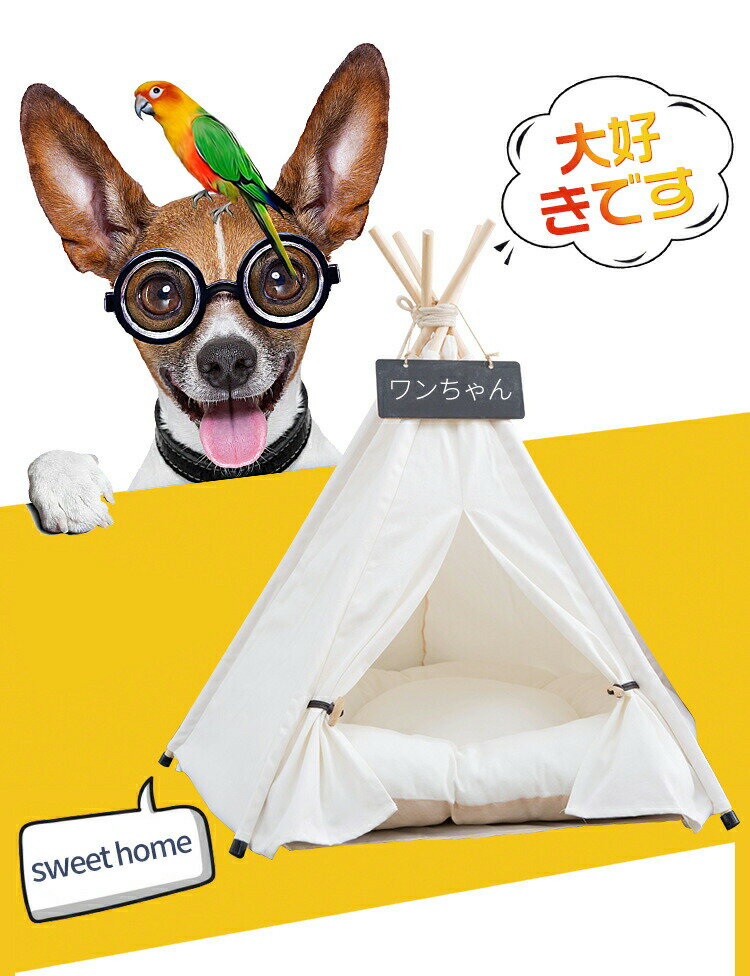 ڥåȥϥ  ƥԡƥ 륷Ŭ ƥ åդ  å 졼 ĥ꡼ ˤ    ...