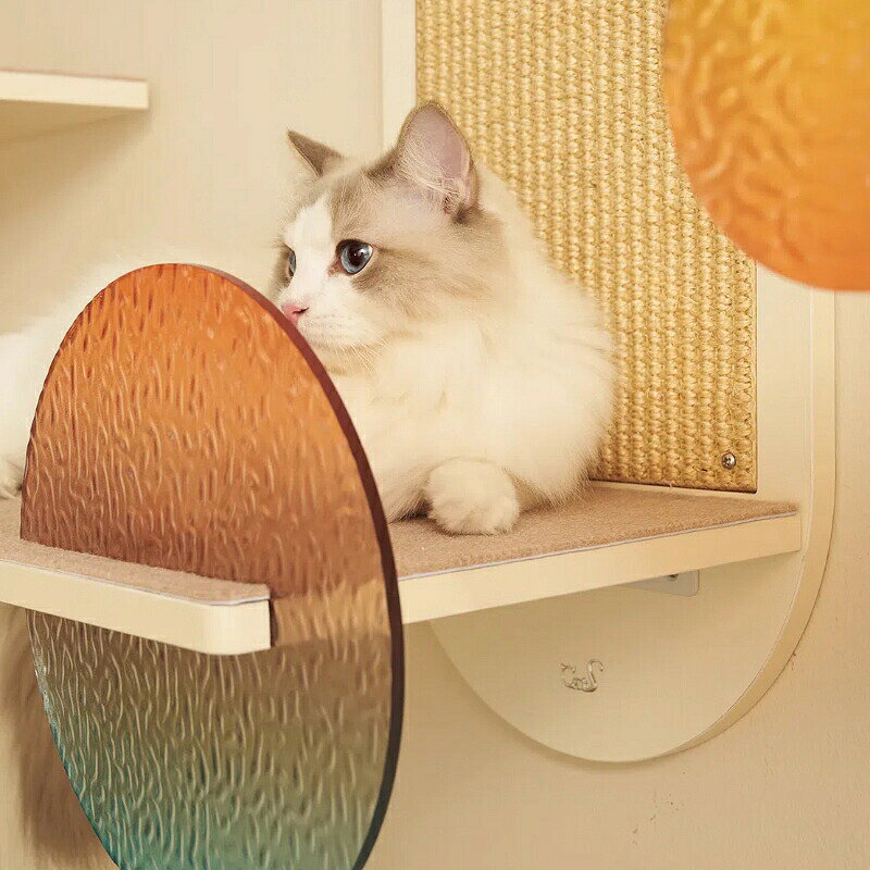 【サンセット大通りシリーズ】無垢材製 壁面キャットウォールセット カラーアクリ...