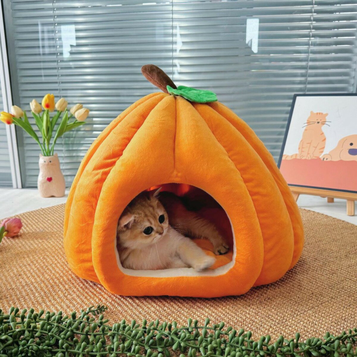 乐天商城 - 【冬用 かぼちゃ型 ペットベッド】ペットベッド 猫 犬 ベッドペット ハウス 犬用ベッド 猫用ベッド 防寒 猫ハウス ふかふか 防寒 ペット寝床 小型犬用 ハロウィン クリスマス