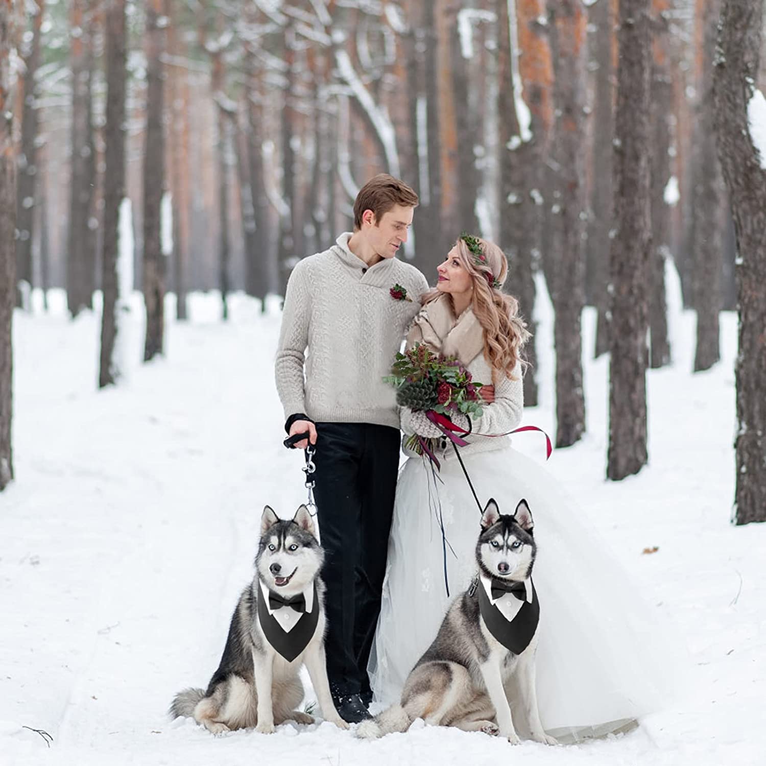 ����2����ͽ������ ���� ǭ�� ���� �ץ��ݡ��� �뺧�� �ե����ޥ� �ɥå����������ɥХ���� 1�� �� ĳ�ͥ����� ������ �淿�� �緿����ǭ Ĵ���ǽ �� �ڥåȤ��ˤ� �ѡ��ƥ��� ��ǰ �̿� ���� ���гݤ� �������塼�� �֥�å� ��å�