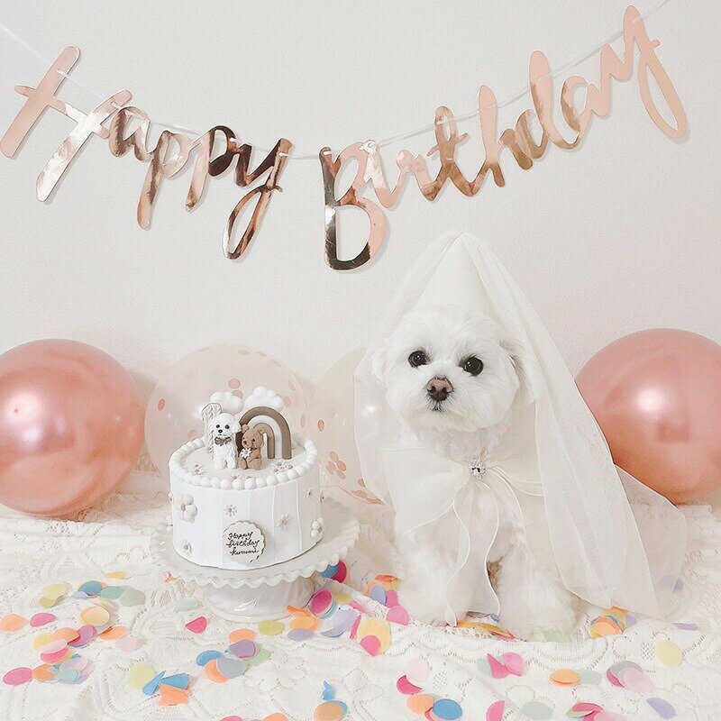 【全2色】犬用 猫用 誕生日 ウェディングドレス 小型犬 中型犬 パーディーセット チュール ハッピーバースデー 帽子 キラキラ 蝶々結び 可愛い 猫ちゃん ペットの誕生日会 記念パーティー プレゼント ホワイト パープル