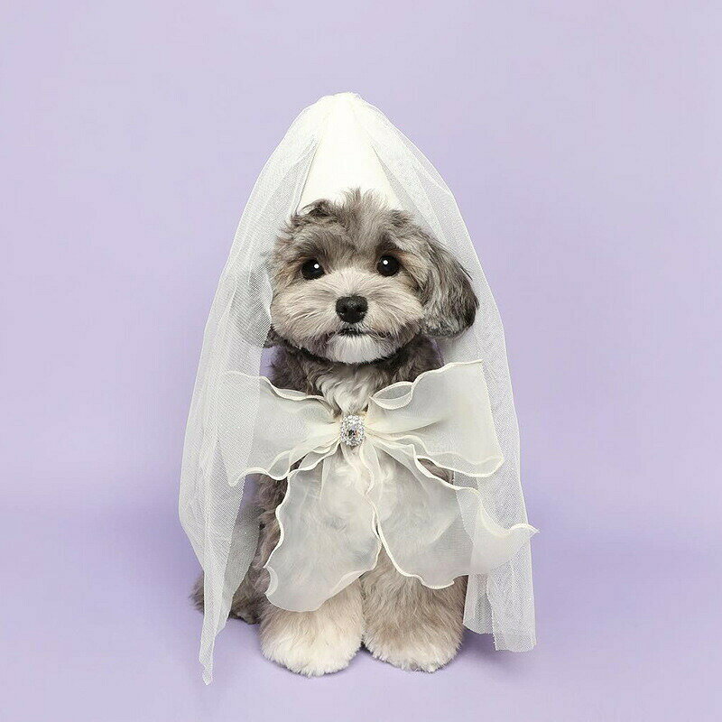 【全2色】犬用 猫用 誕生日 ウェディングドレス 小型犬 中型犬 パーディーセット ...